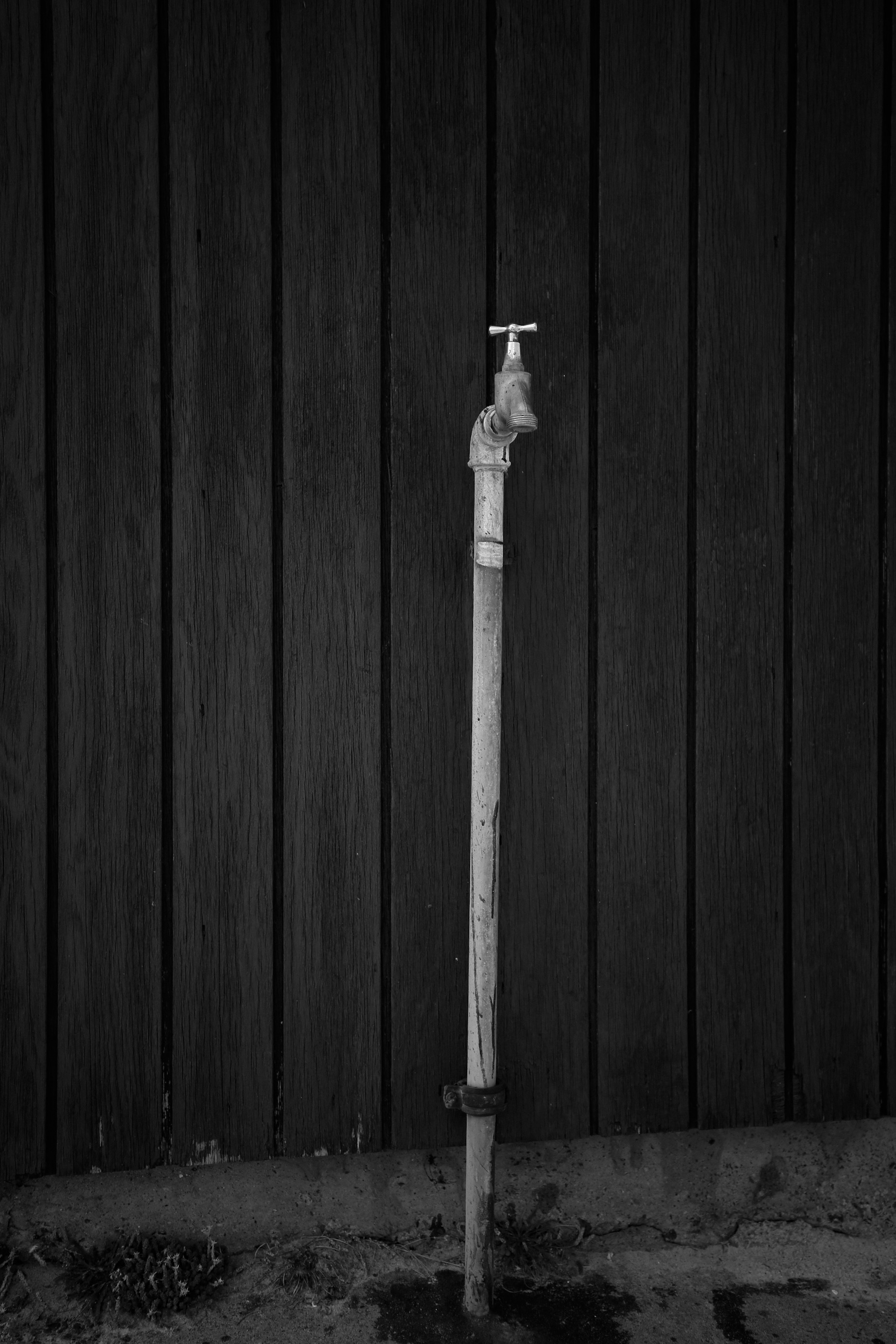 20941290-4E55-41B2-A0B1-6E4BD72BAC93