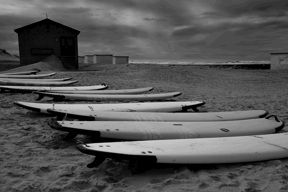 BC9E5755-F02E-44F0-8CF0-362F887E64D8