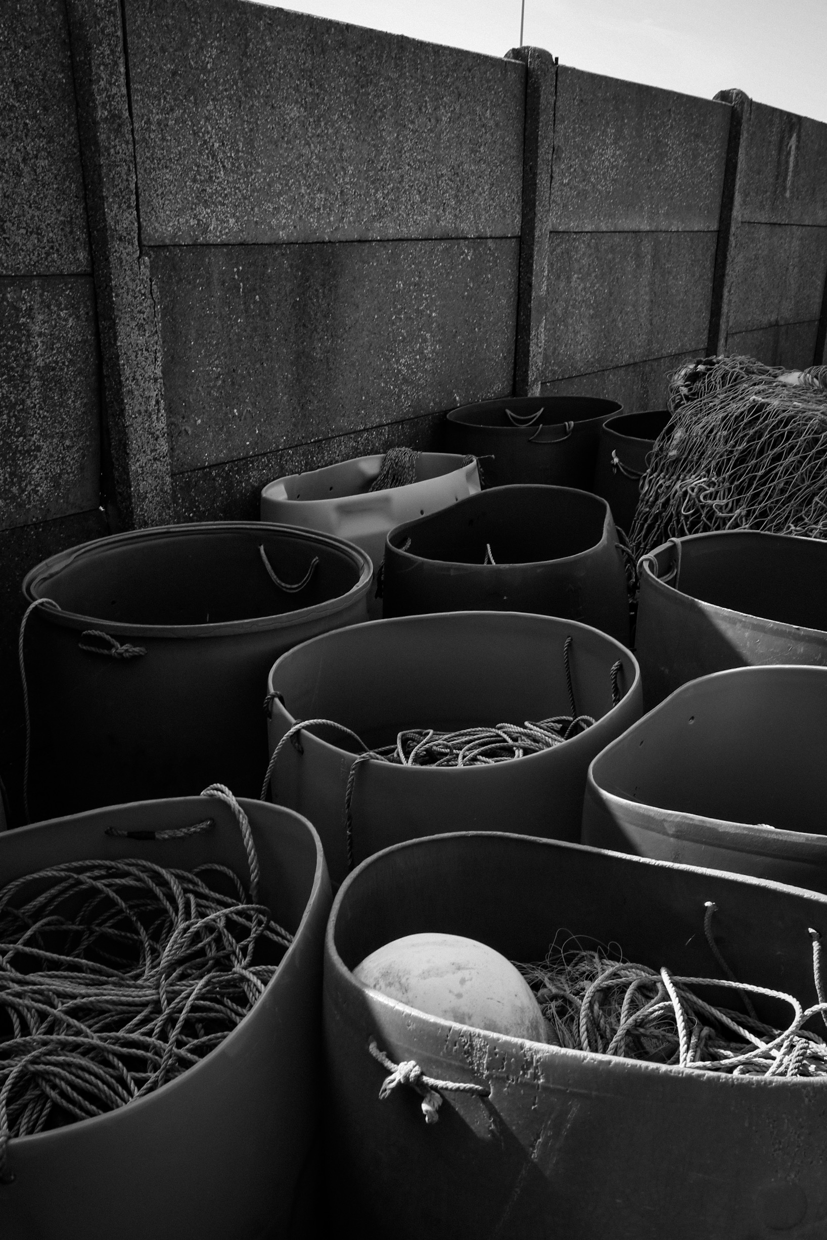 D03C47BF-FC73-4CFB-ADA8-C06677EF8C41