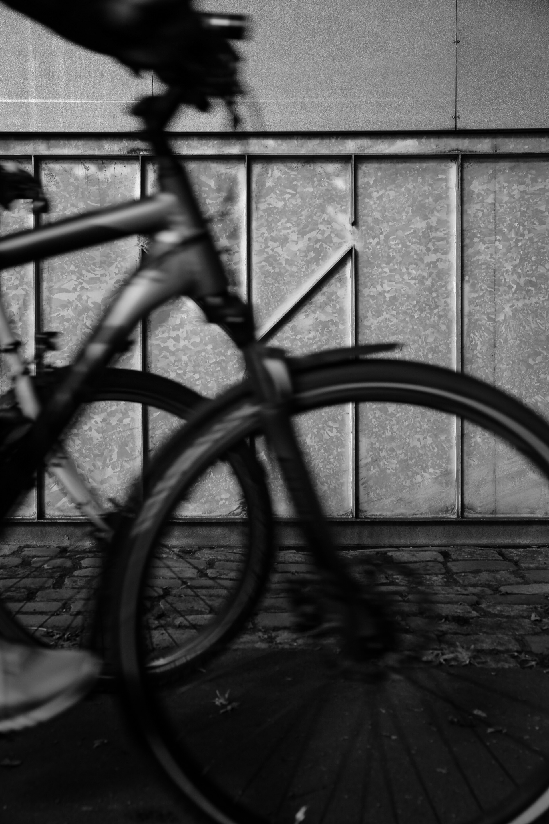 Foto 08.10.17, 15 44 09