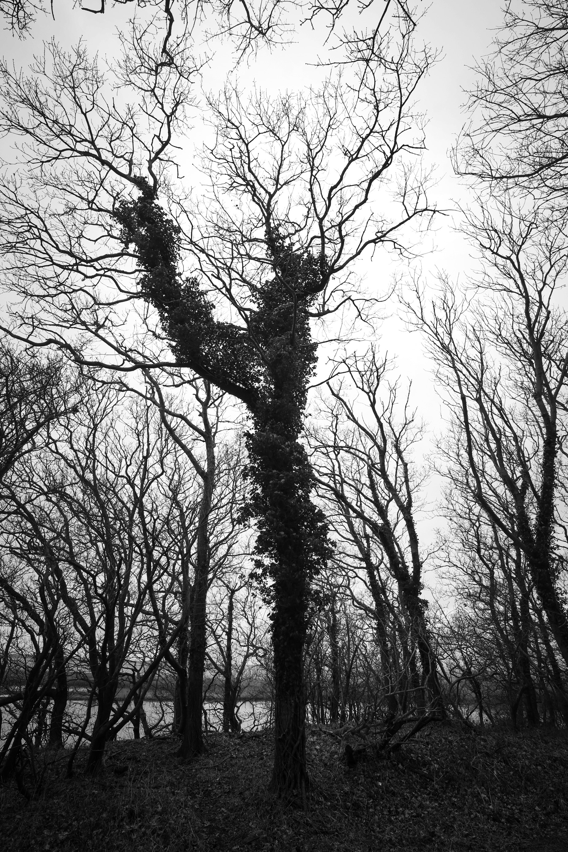 Foto 31.03.18, 13 12 25