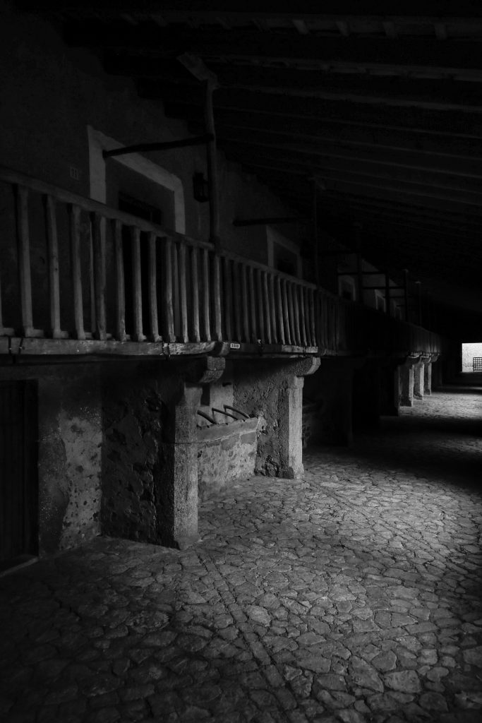 54220198-AAF4-4B63-AC6D-B3077B77DB45