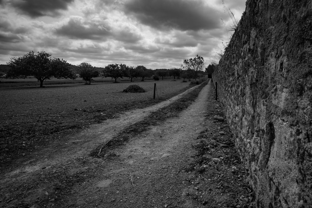 5F9C9ADC-8203-4AA1-A82A-FB9DC55FABCF