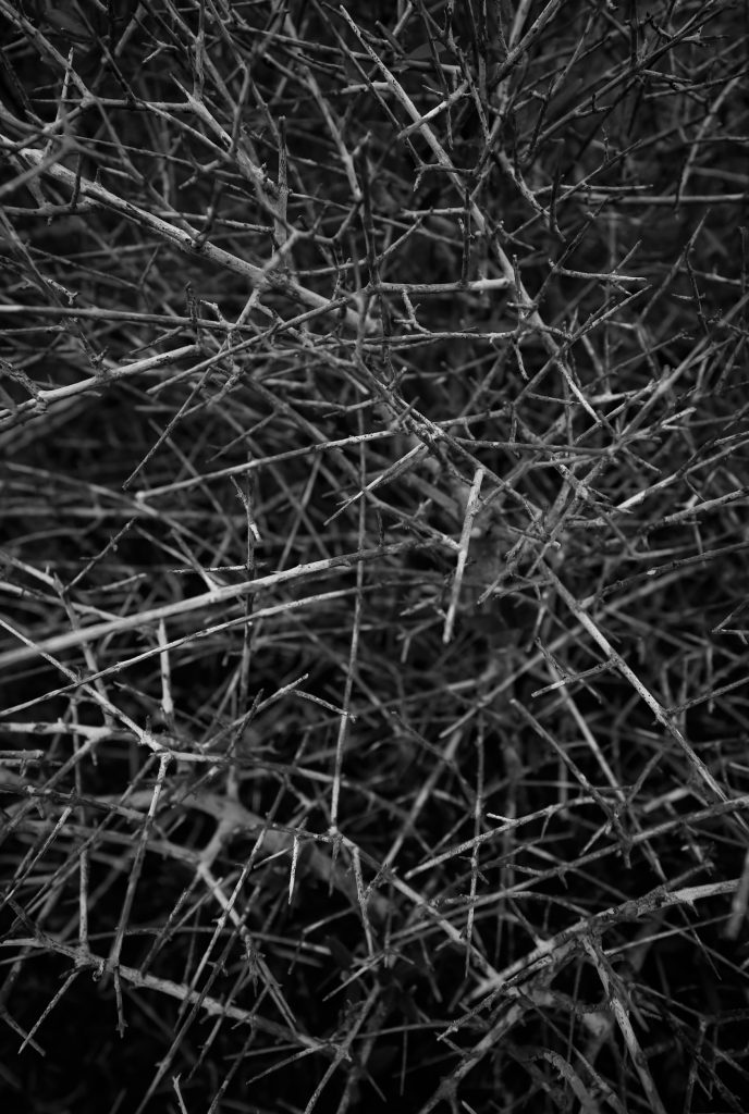 706E601C-6C24-4319-BD2B-DF2633F896DF