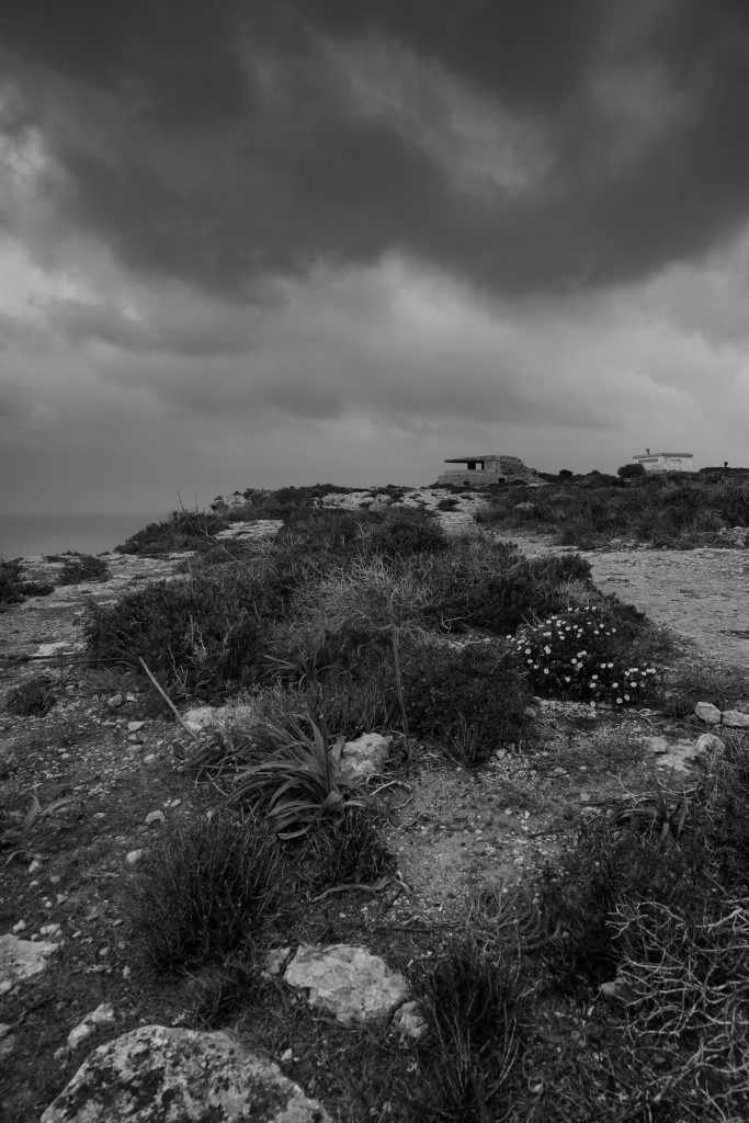 8FB6A33C-D0A6-4D7A-90C6-C95F83E3FEE6