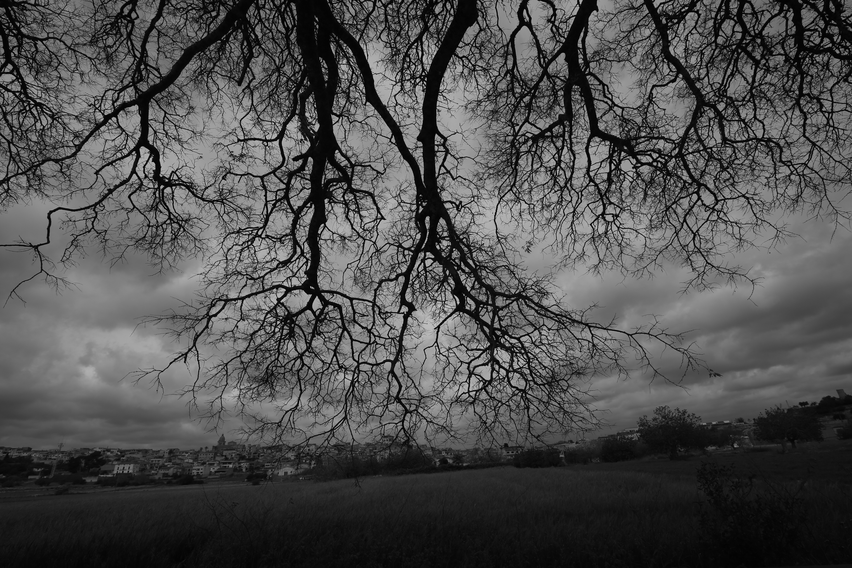 96722BF6-49A9-4A72-9EDE-A9F3C40E6C63