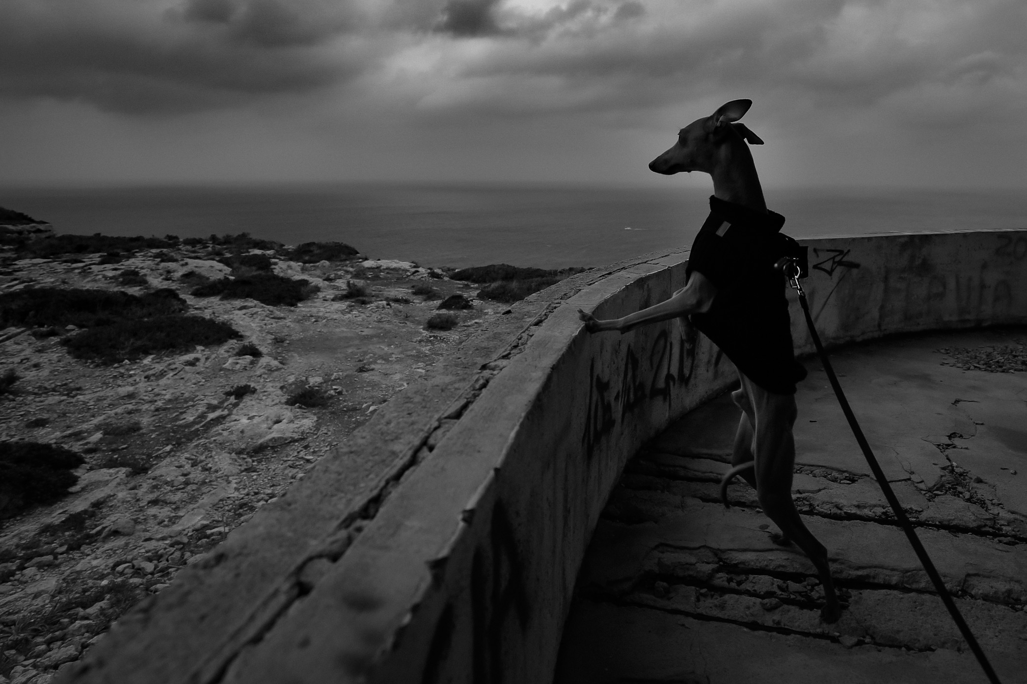 9684D700-2FB6-4099-BE60-4B17D1034924