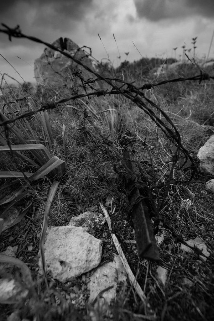 CEF67438-AAD7-4B94-8274-CFB0EFD14B85