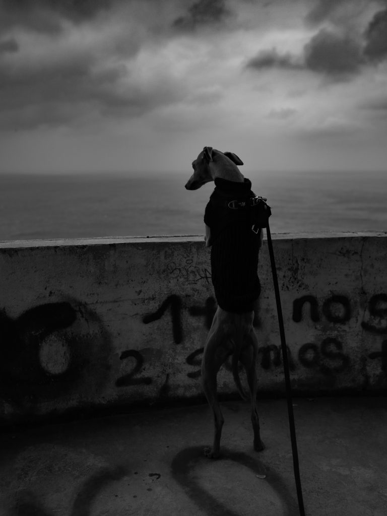 CF780F2E-2696-4136-A209-483DECEBA555