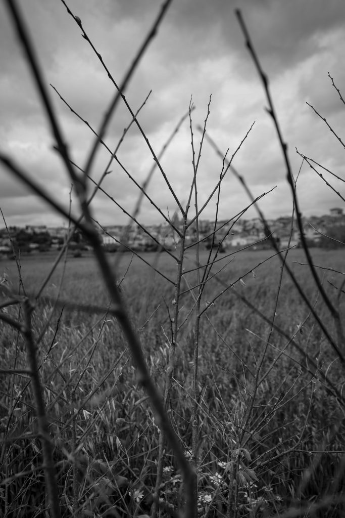 DB9A09D1-EB64-4BDA-917A-48830DE0A4DB