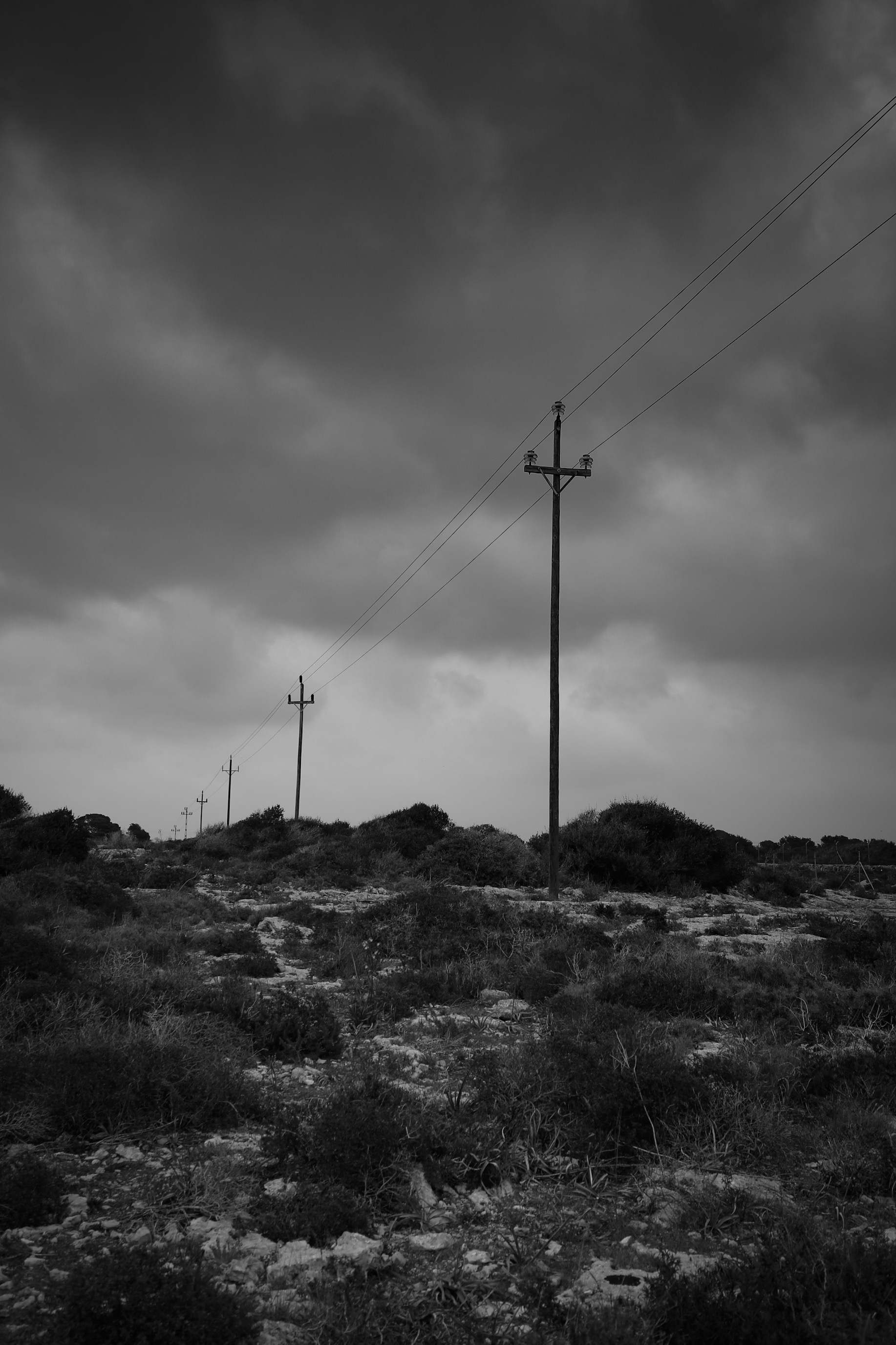 DC637E95-0B77-4F29-8ABA-14AC24106DE3