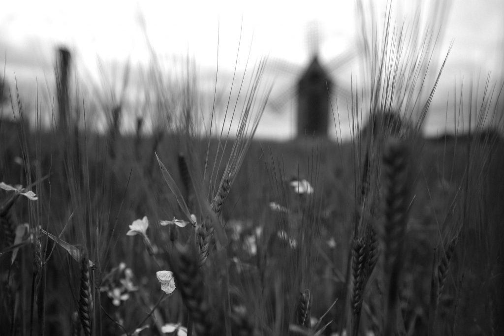 E896839F-239F-4209-9599-C068517CBC93