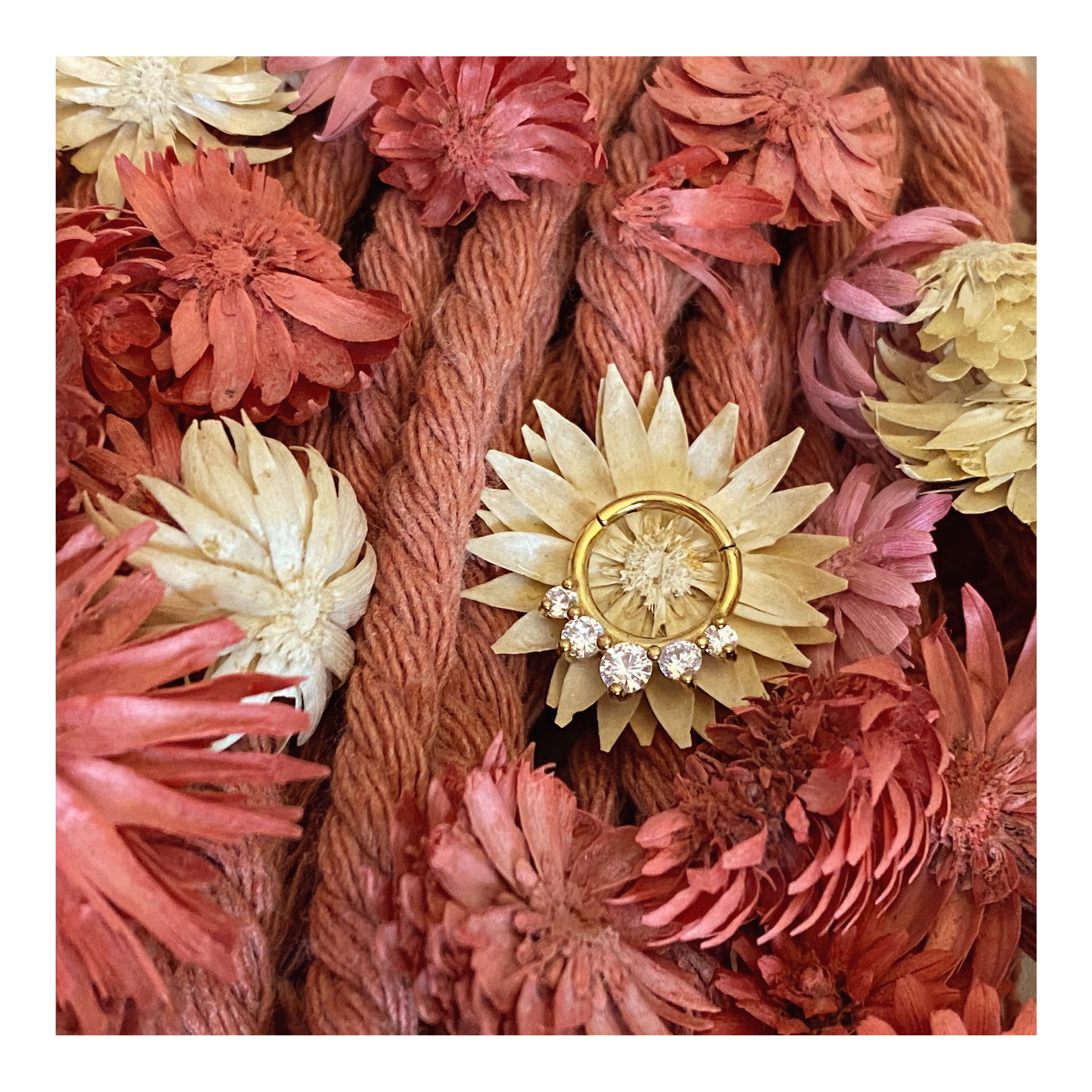 Processed with VSCO with v8 preset