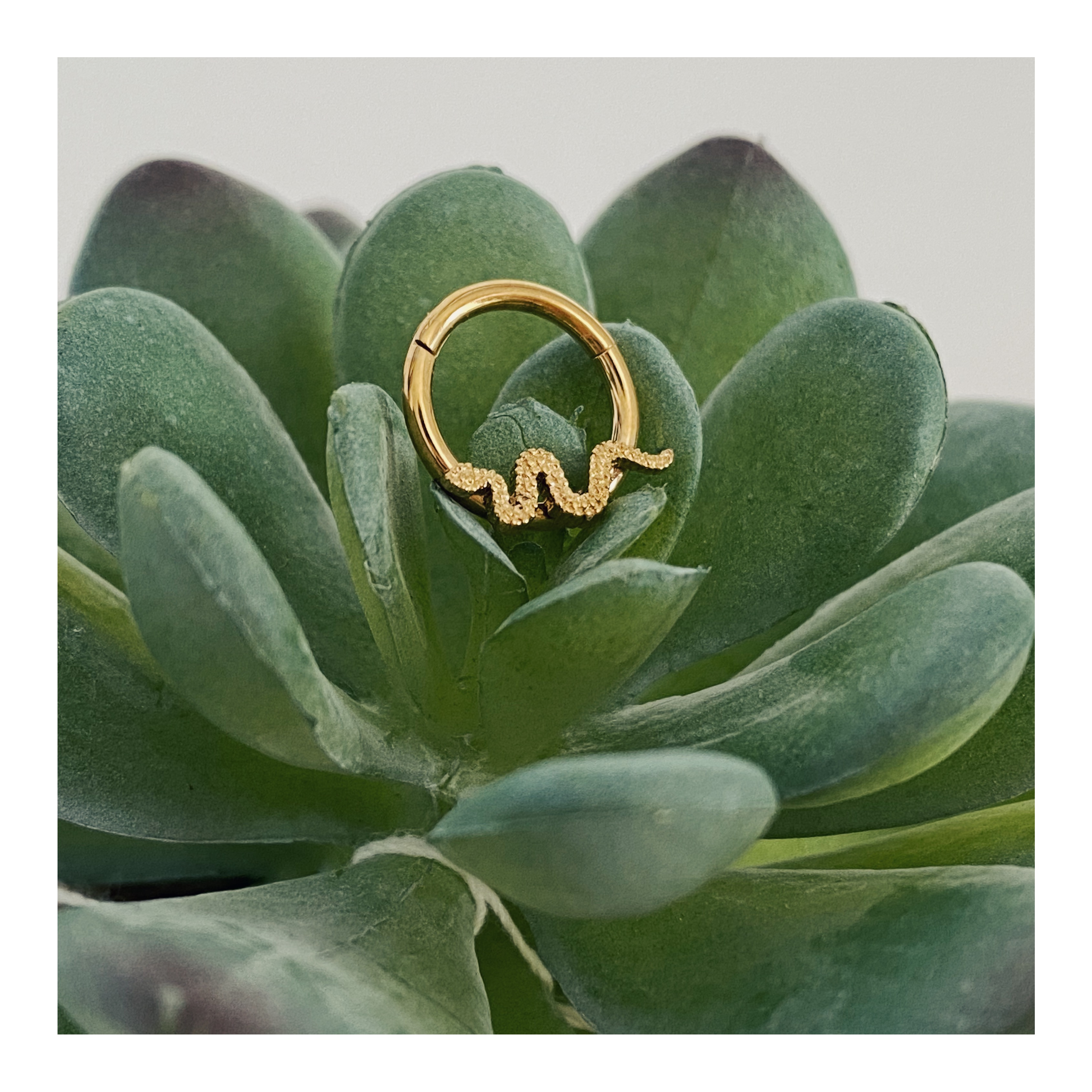 Processed with VSCO with ku4 preset