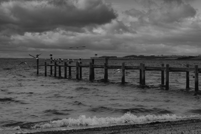 0349918D-2468-40BC-BEF4-2CC4A5337841