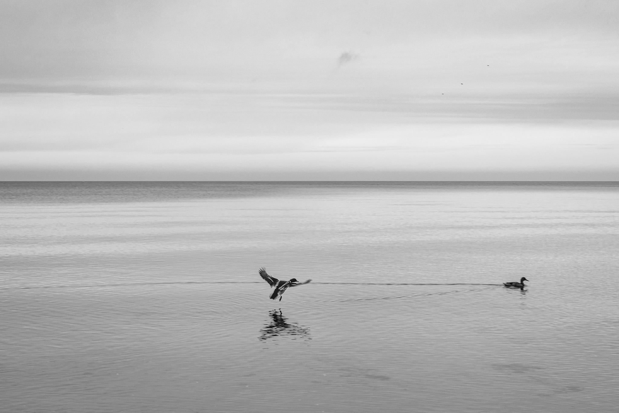 0371AD4D-C70E-4B37-A690-CBC280FA335B