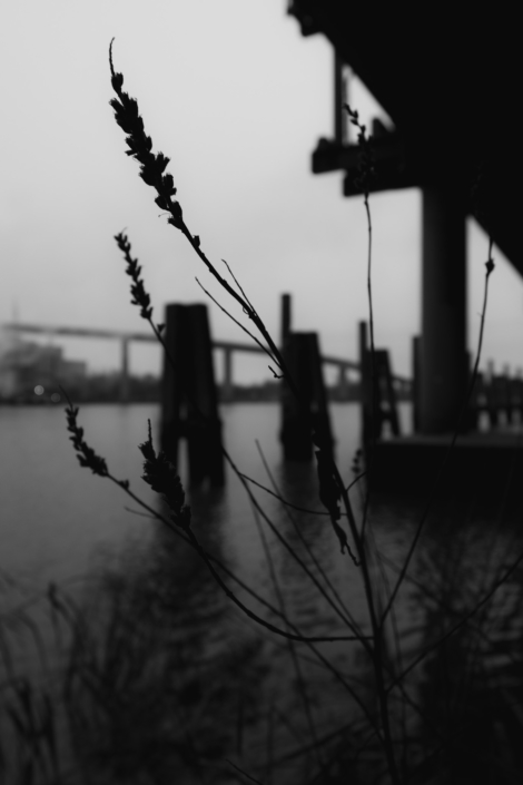 0F2EC77D-80FC-4369-B923-2CB3A4C25270