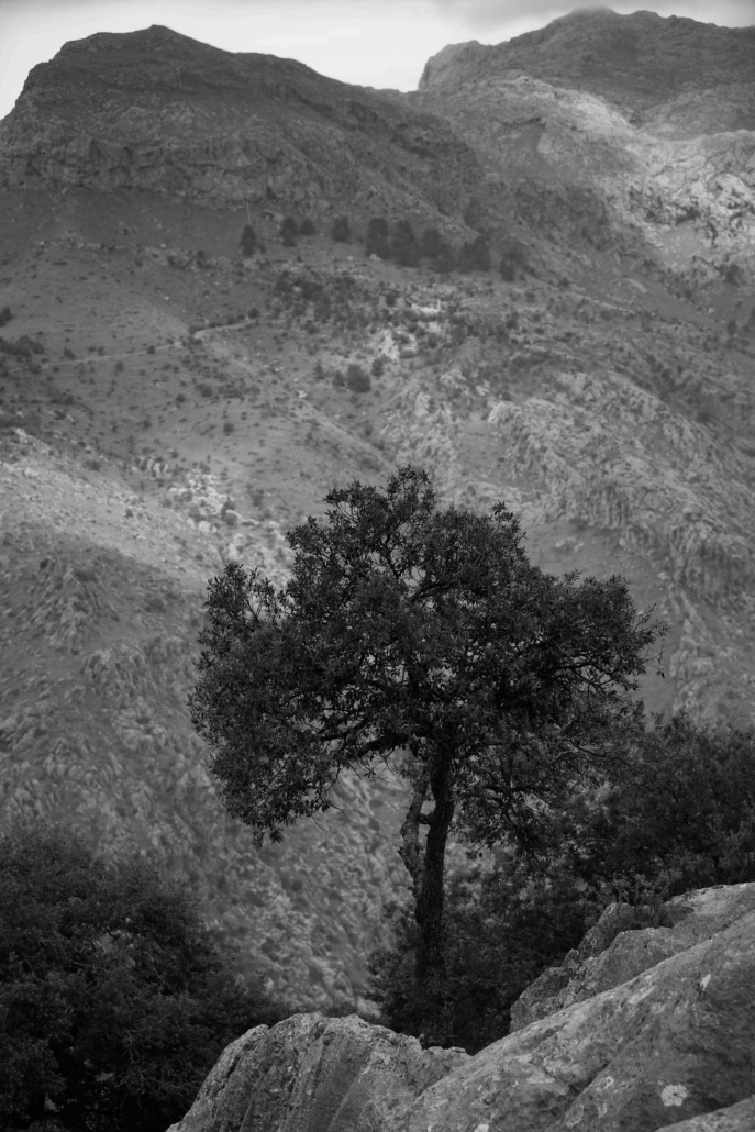 161023FC-301C-4924-BD8B-46E937C21381