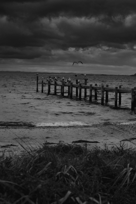 65B7AFE5-FCF7-45EB-883A-C49AFD3A9553