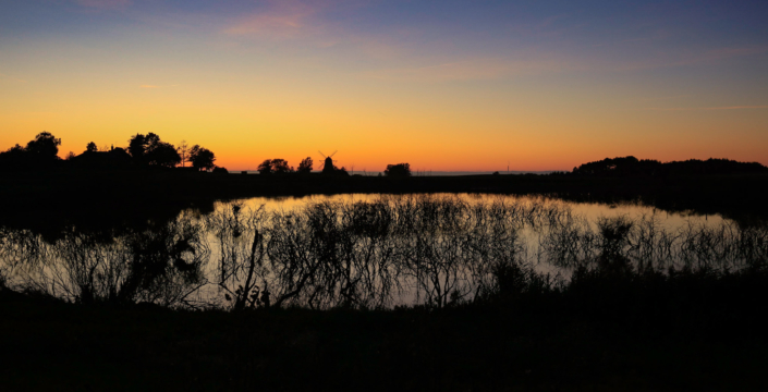 6A2FDF9F-B725-48BB-9E46-C77C8CB3D8D3