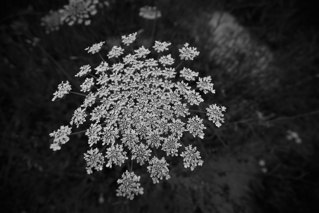 756EF145-494E-4B3C-8E99-C7BA5390581C