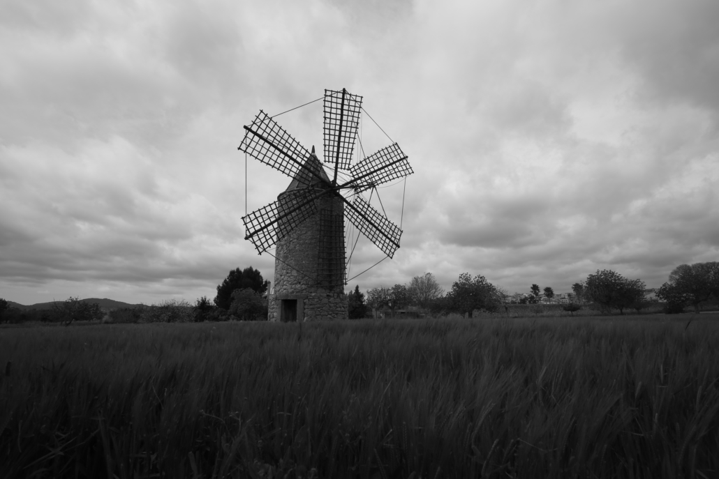 8F81A36A-1F5F-4C4B-8D70-8927B82CC5D7