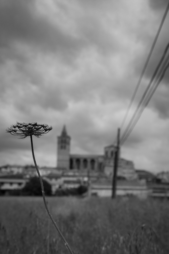 91B87B70-5537-4FE5-9338-39BAB1AE0AE6