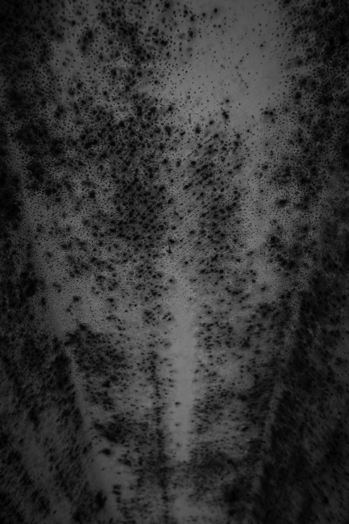 9C2B5553-CBB0-4E6E-B97F-DC92B26524B4