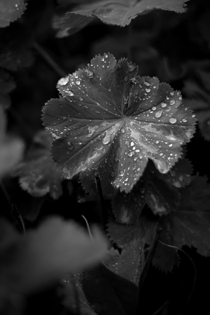 A9224041-B918-49DF-A437-9EB921505F59