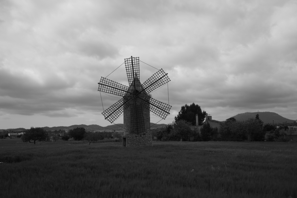 ACBBEEF1-F808-478B-BF79-8F7802430221