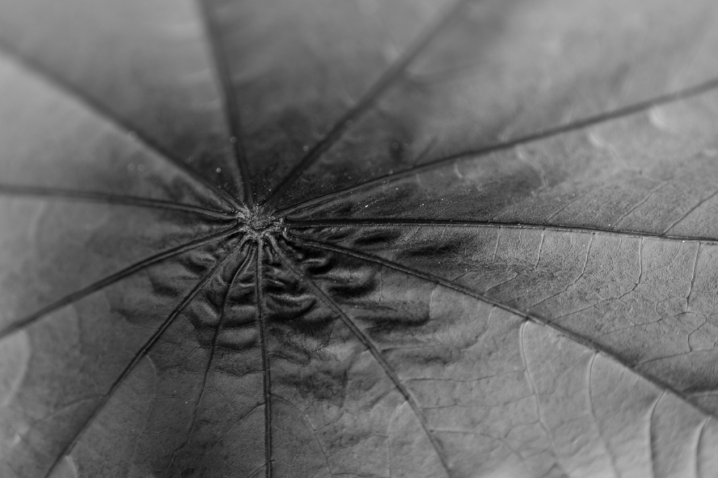 AD6472B4-9CB1-4342-ADFE-14921F1C5124