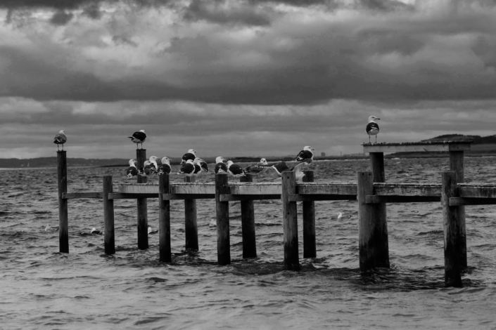 B2D739E0-2732-427D-B9D0-9A8644E46F02