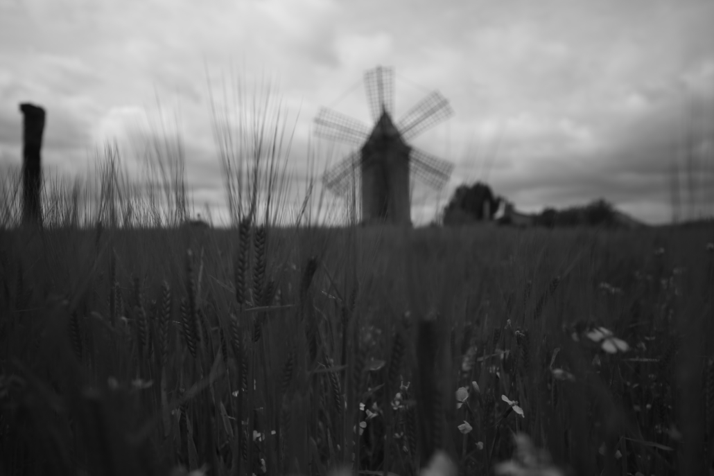 C4D5B2BF-080C-4E55-ACDE-781940C206C0