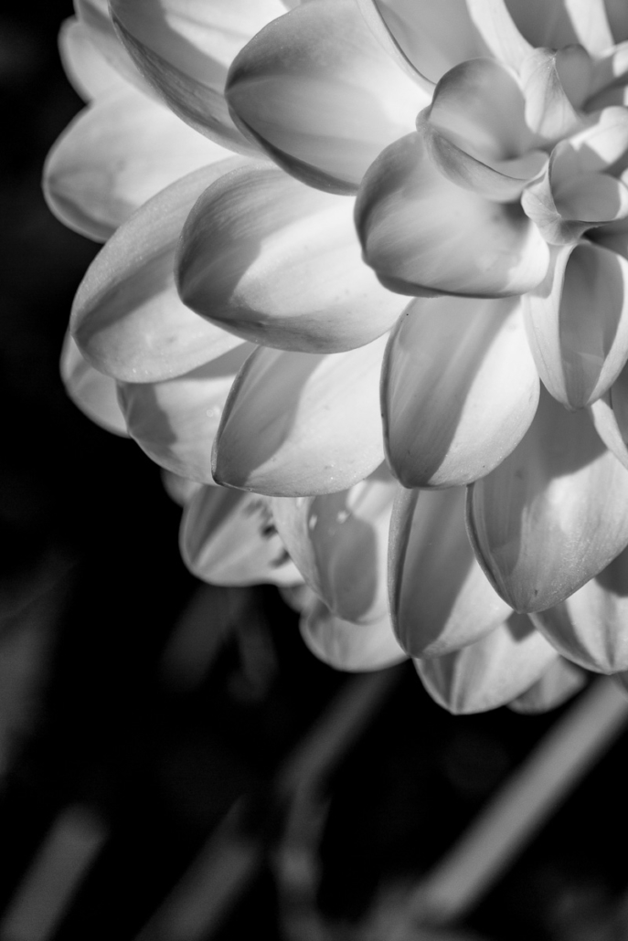 CD0BFF78-DFA1-4C18-BD7B-A6292490BE5C