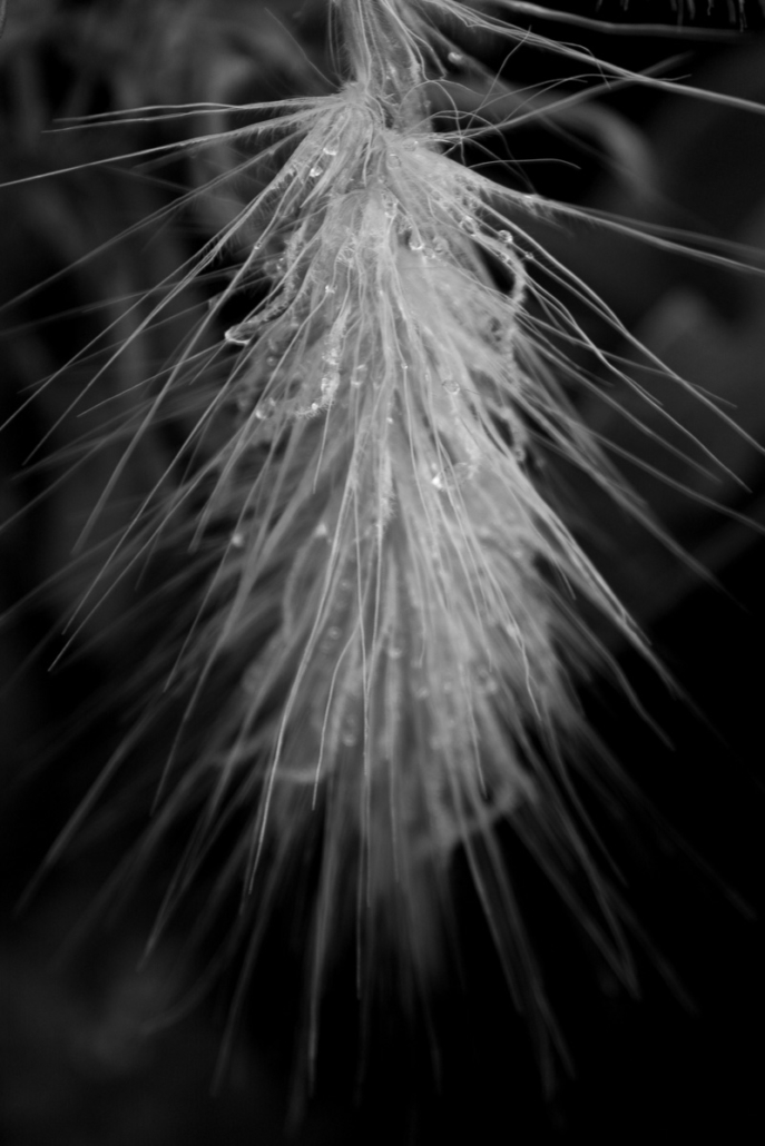 CDDC3E9D-3D57-4240-A8B7-7AB718FBA9D4