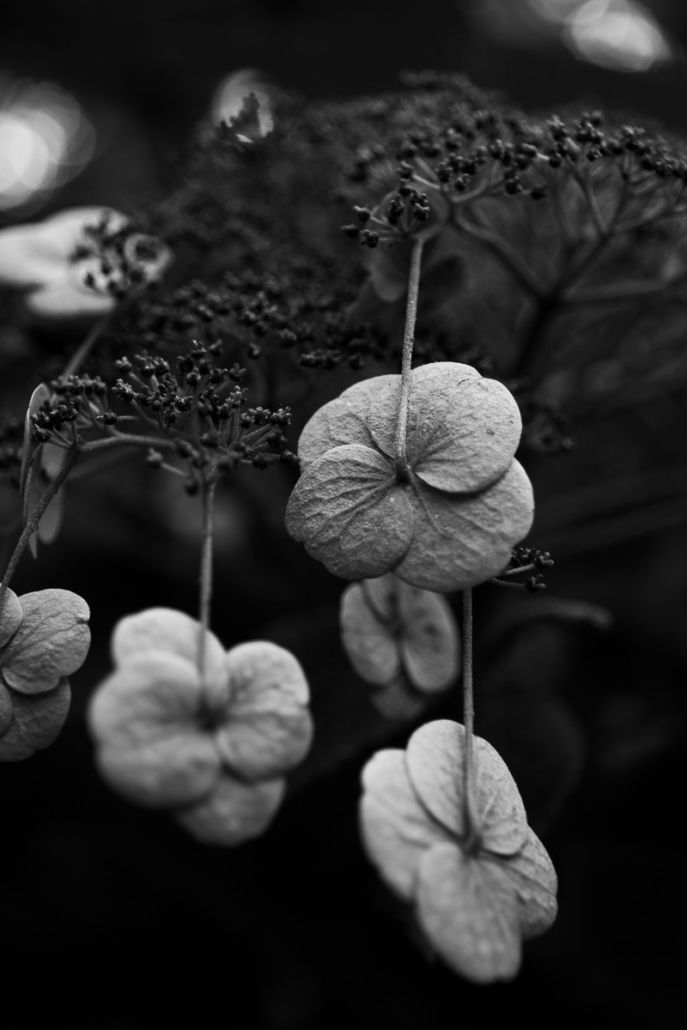 D155000C-251E-4C7C-86E2-C0826CA7DC91