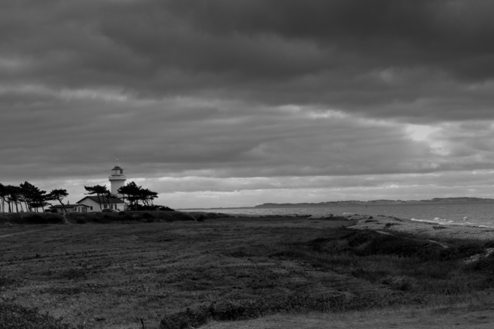 D403009E-D56F-4A4E-891A-8F26B1650E8C