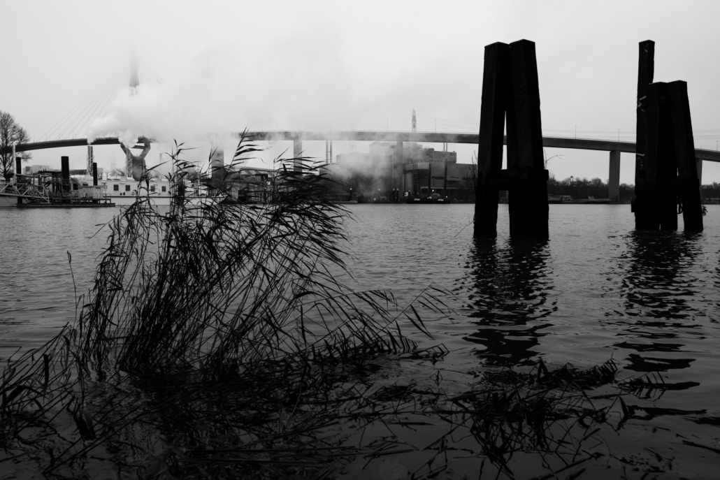 D8ED6E24-D34B-46C5-B71F-06371CD4960D