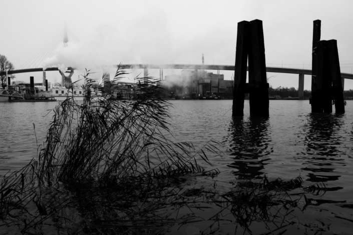 D8ED6E24-D34B-46C5-B71F-06371CD4960D