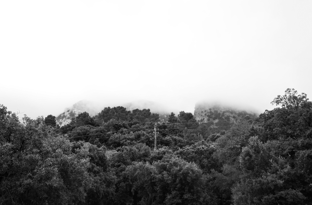 DAEEC764-7B88-4596-A858-6A2F911AD78A