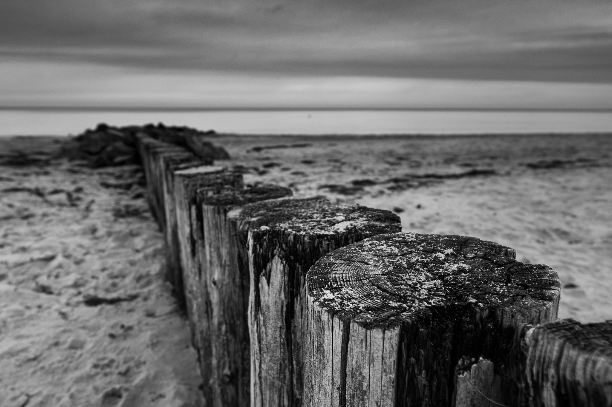 EE5E33F3-C561-4F0E-800C-84AEEEBF69CC