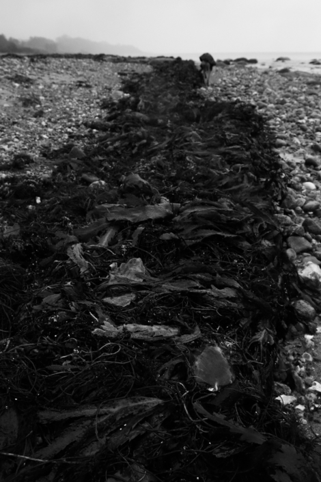 Foto 23.12.19, 15 04 49